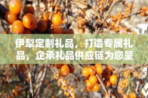 伊犁定制礼品，打造专属礼品，企承礼品供应链为您呈现独特之选